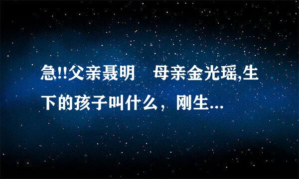 急!!父亲聂明玦母亲金光瑶,生下的孩子叫什么，刚生下来一男一女