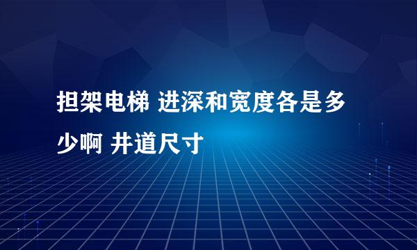 担架电梯 进深和宽度各是多少啊 井道尺寸