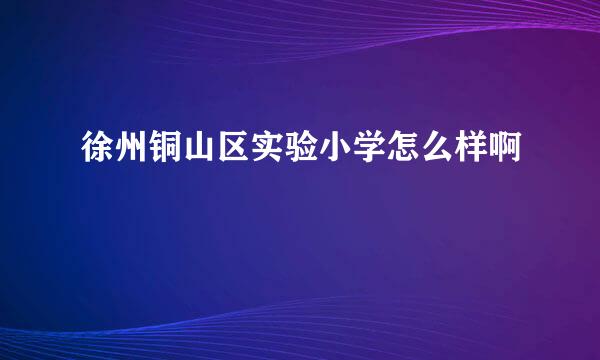 徐州铜山区实验小学怎么样啊