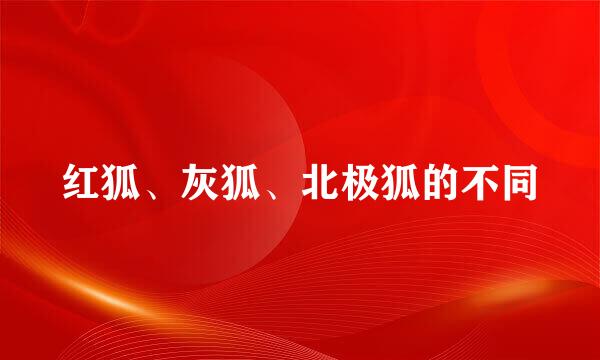 红狐、灰狐、北极狐的不同