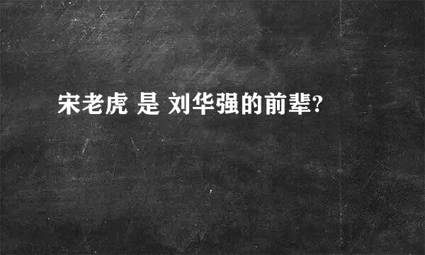 宋老虎 是 刘华强的前辈?