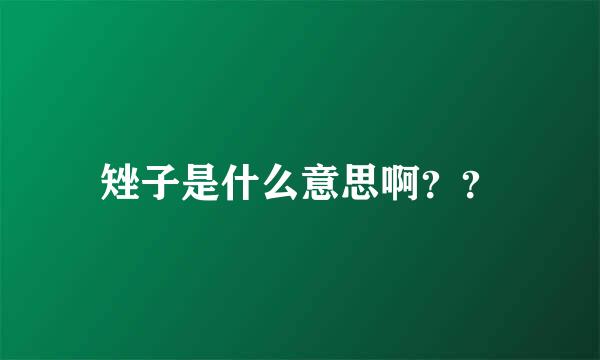 矬子是什么意思啊？？