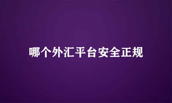 哪个外汇平台安全正规