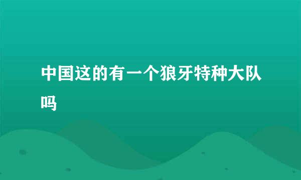 中国这的有一个狼牙特种大队吗