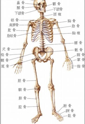 大腿骨折是几级伤残，能赔多少钱