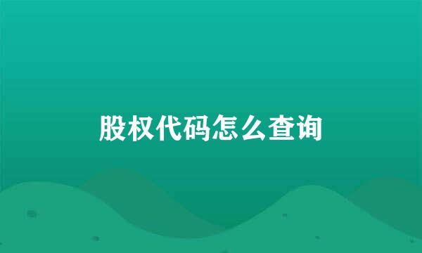 股权代码怎么查询