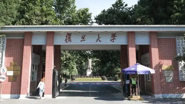 文科大学排名