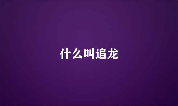 什么叫追龙