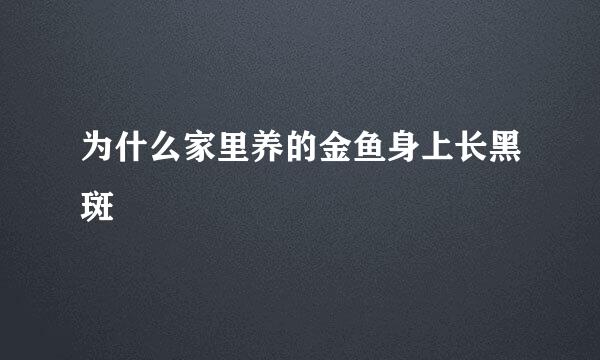 为什么家里养的金鱼身上长黑斑