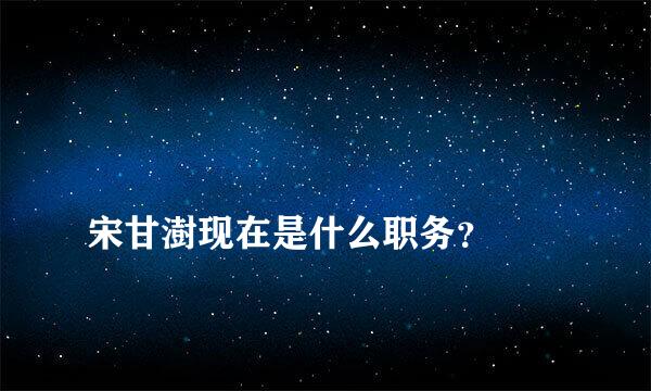 
宋甘澍现在是什么职务？
