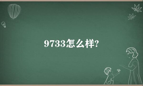 9733怎么样?