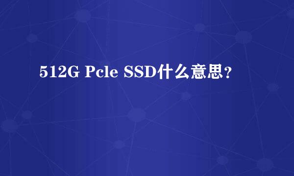 512G Pcle SSD什么意思？