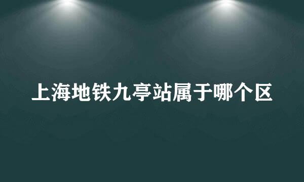 上海地铁九亭站属于哪个区