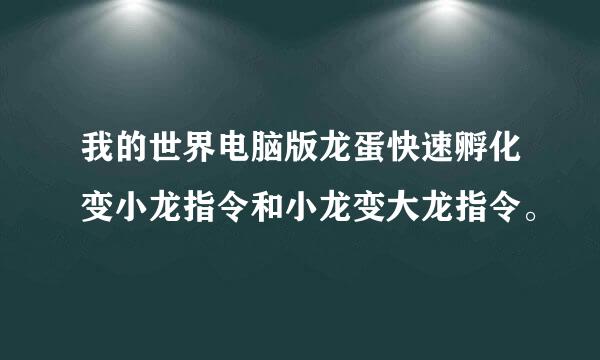 我的世界电脑版龙蛋快速孵化变小龙指令和小龙变大龙指令。