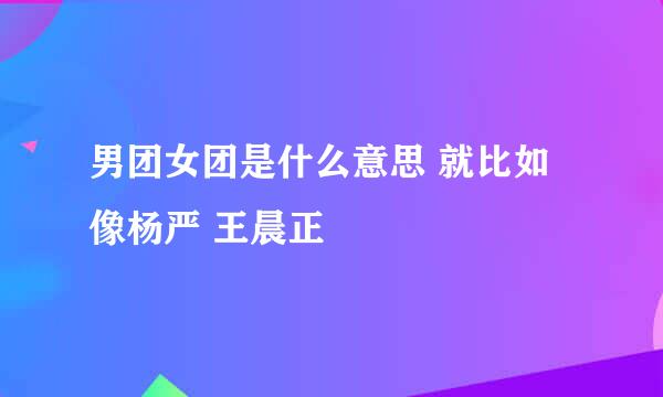 男团女团是什么意思 就比如像杨严 王晨正