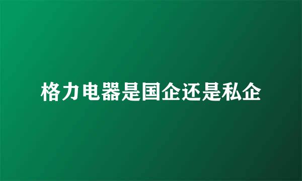 格力电器是国企还是私企