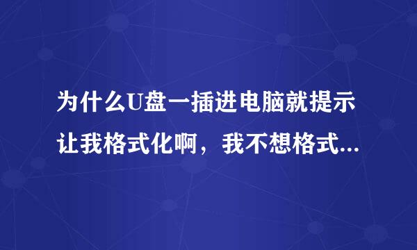 为什么U盘一插进电脑就提示让我格式化啊，我不想格式化的呀!