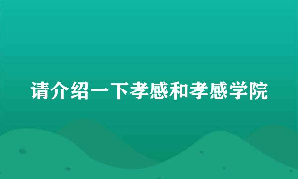 请介绍一下孝感和孝感学院