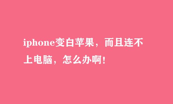 iphone变白苹果，而且连不上电脑，怎么办啊！