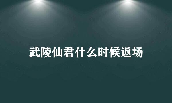 武陵仙君什么时候返场