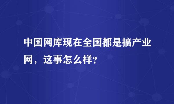 中国网库现在全国都是搞产业网，这事怎么样？