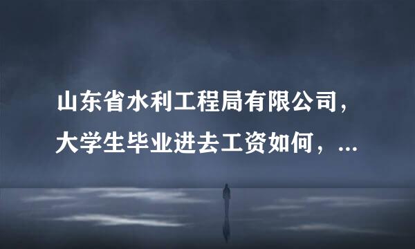 山东省水利工程局有限公司，大学生毕业进去工资如何，发展如何