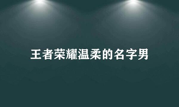 王者荣耀温柔的名字男