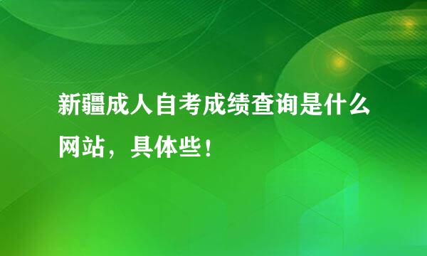 新疆成人自考成绩查询是什么网站，具体些！