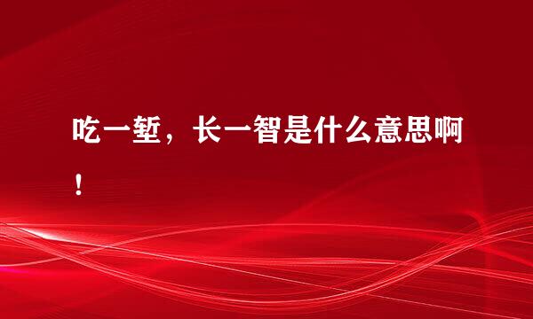 吃一堑，长一智是什么意思啊！