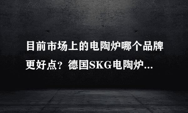 目前市场上的电陶炉哪个品牌更好点？德国SKG电陶炉怎么样？