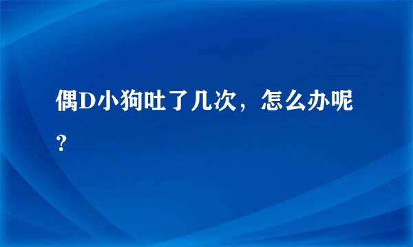 偶D小狗吐了几次，怎么办呢？