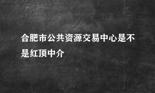 合肥市公共资源交易中心是不是红顶中介