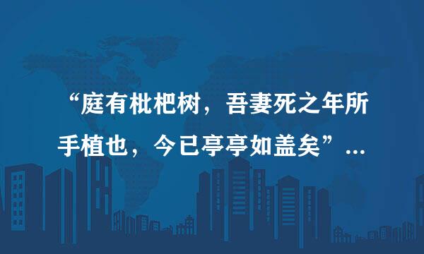 “庭有枇杷树，吾妻死之年所手植也，今已亭亭如盖矣”是什么诗