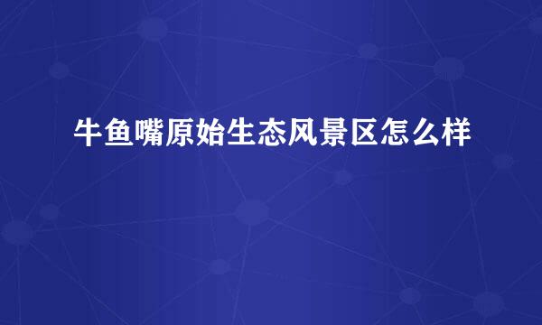 牛鱼嘴原始生态风景区怎么样