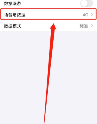 iphone12怎么把5g关掉