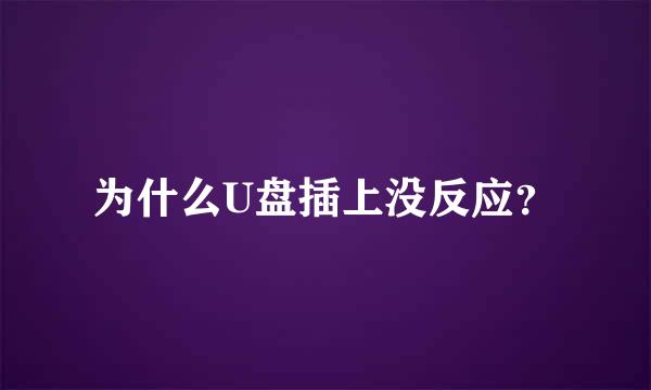 为什么U盘插上没反应？