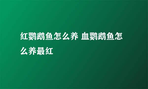 红鹦鹉鱼怎么养 血鹦鹉鱼怎么养最红