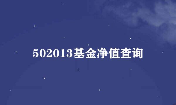 502013基金净值查询