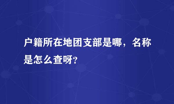 户籍所在地团支部是哪，名称是怎么查呀？