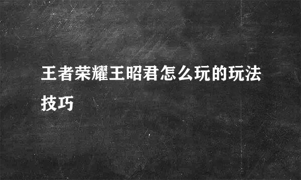 王者荣耀王昭君怎么玩的玩法技巧