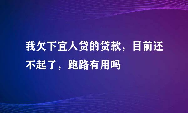 我欠下宜人贷的贷款，目前还不起了，跑路有用吗