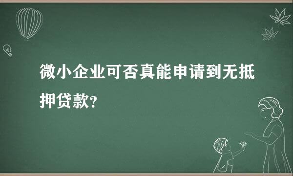 微小企业可否真能申请到无抵押贷款？