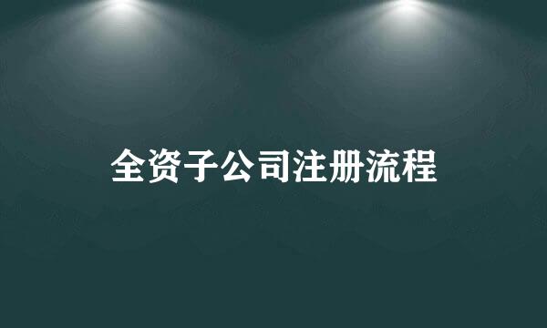 全资子公司注册流程