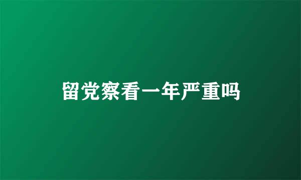 留党察看一年严重吗