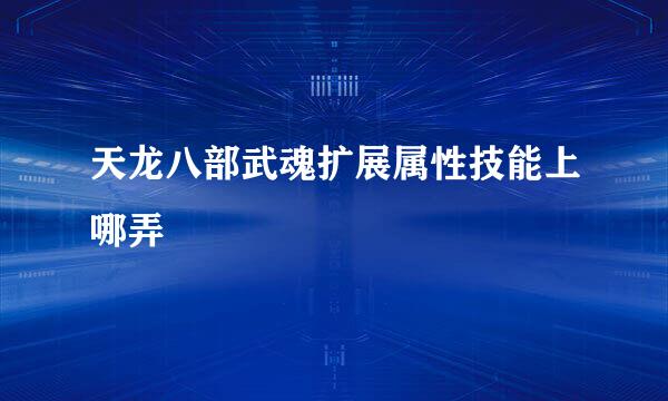 天龙八部武魂扩展属性技能上哪弄