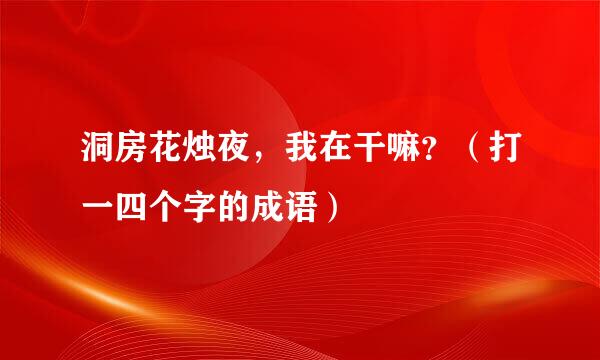 洞房花烛夜，我在干嘛？（打一四个字的成语）