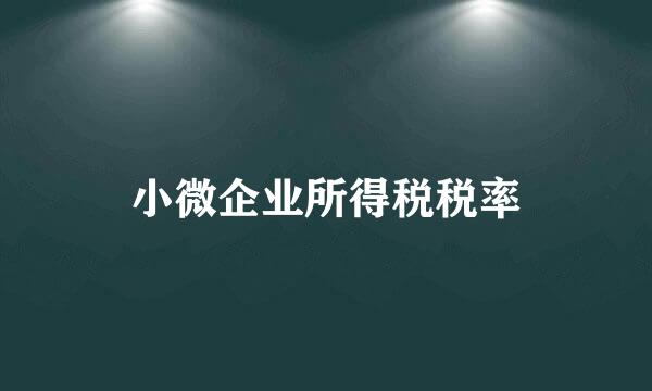 小微企业所得税税率