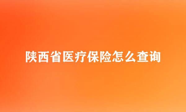 陕西省医疗保险怎么查询