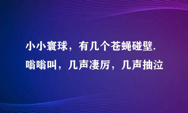 小小寰球，有几个苍蝇碰壁.嗡嗡叫，几声凄厉，几声抽泣