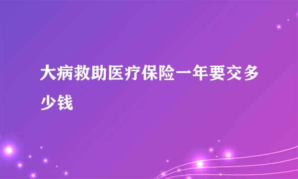 大病救助医疗保险一年要交多少钱